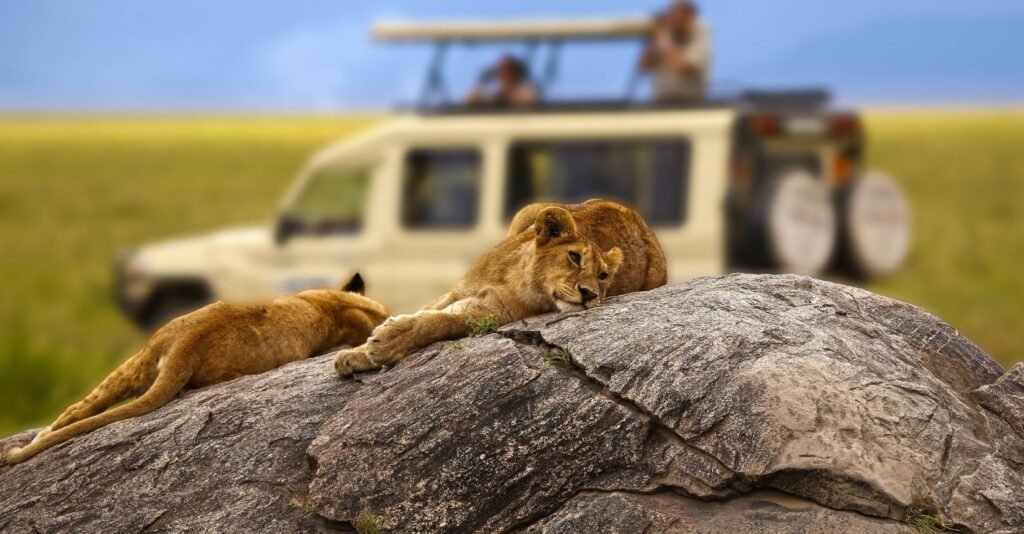 11 days Tanzania safari itinerary for seniors and mature travelers
