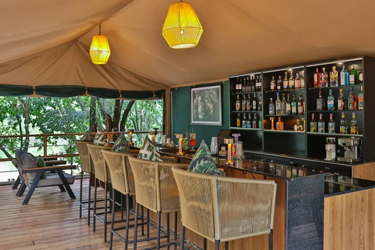 IM_KE_MAR_Serenity-Mara-Legends-Camp_Bar