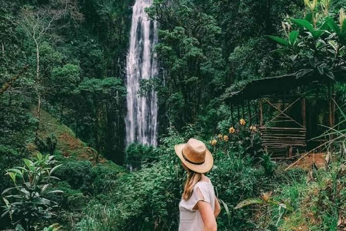 Materuni Waterfalls & Coffee Tour – Day Trip from Moshi & Arusha