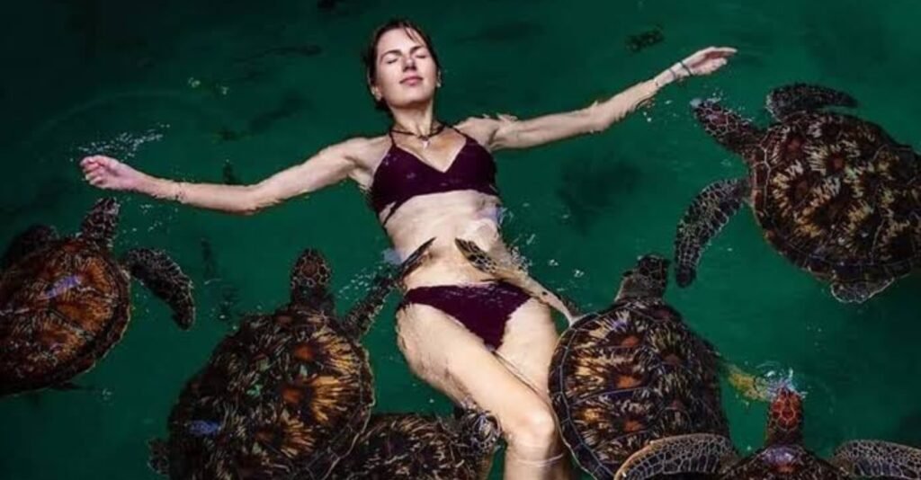 Discover the Nungwi Turtle Experience in Zanzibar. Visit a sea turtle sanctuary, learn about conservation, and enjoy an unforgettable marine wildlife encounter.