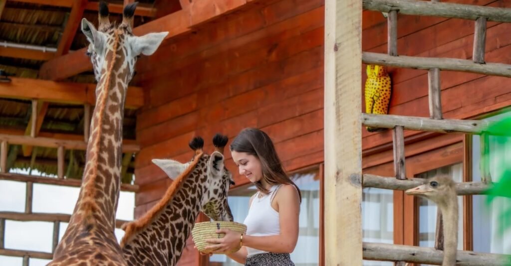 Serval Wildlife Day Trip,