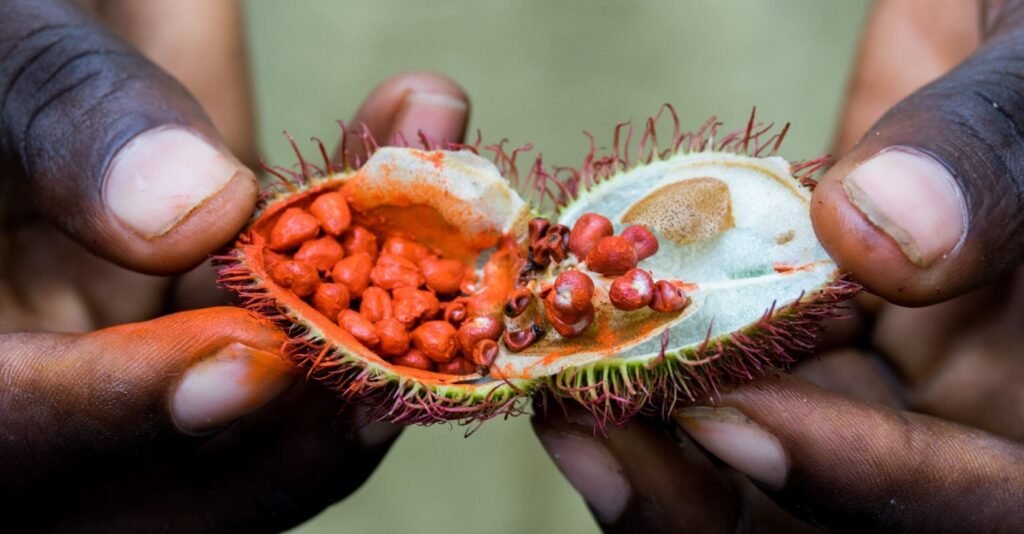 Visitors exploring a traditional spice farm in Zanzibar with a local guide showcasing fresh spices, tropical fruits, and aromatic plants.