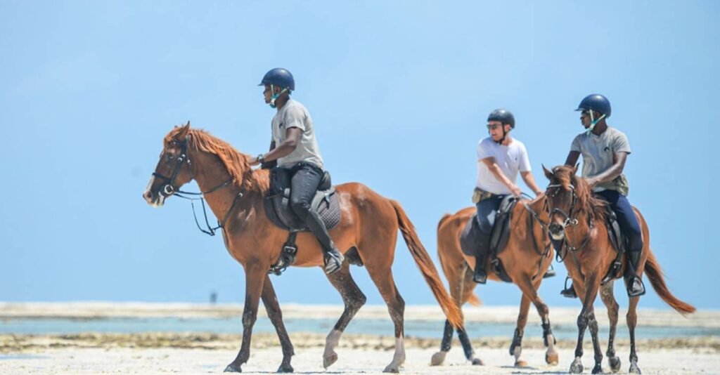 Guests swimming with horses in the Indian Ocean during a guided beach horse riding experience in Zanzibar.
