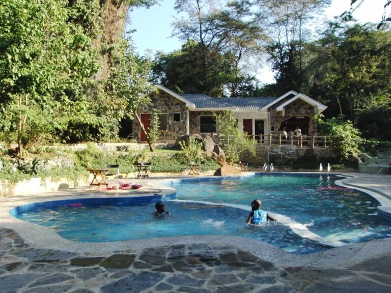 Udzungwa-Falls-Lodge-pool
