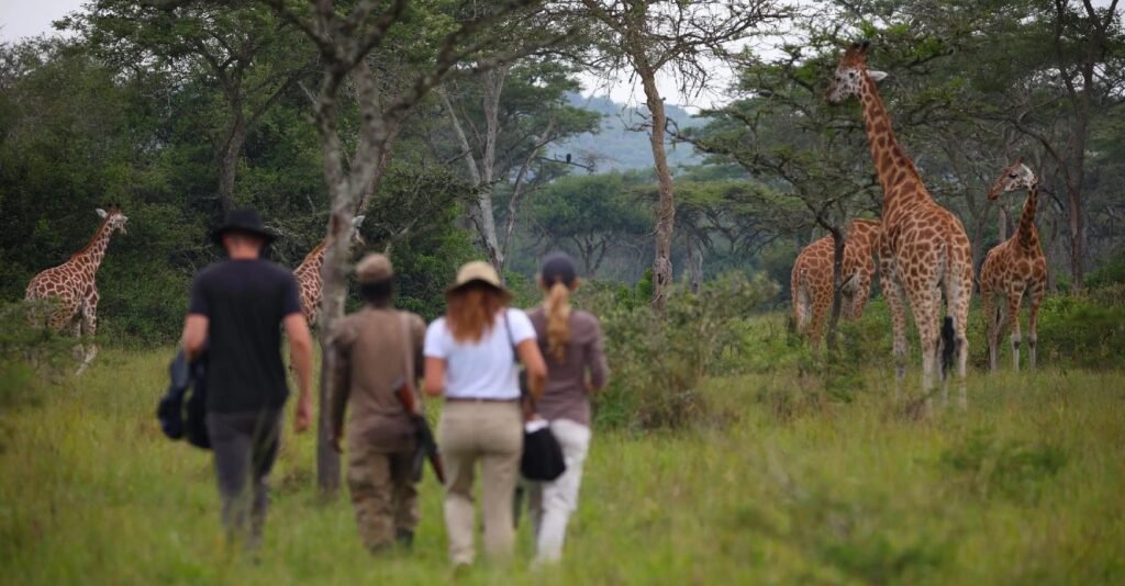 Walking Safari Arusha National Park