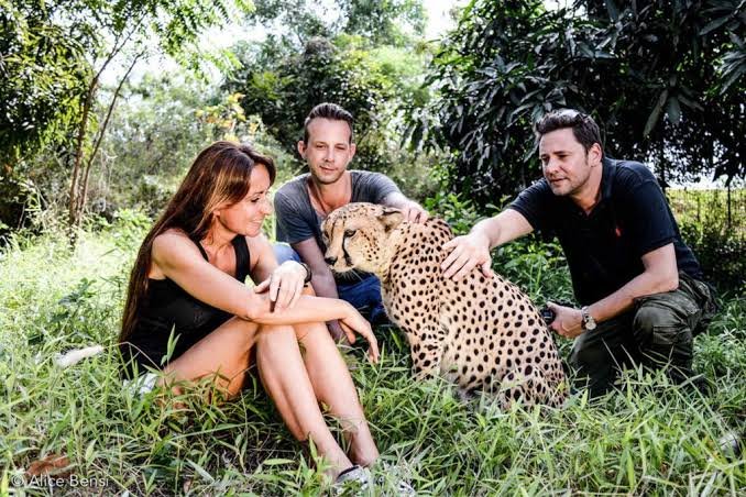 Cheetah's Rock – Zanzibar Wildlife Sanctuary Experience