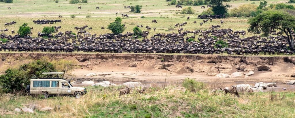 Witness the Great Migration, explore Ngorongoro Crater, and relax on Zanzibar's beaches. A private 18-day Tanzania safari and beach vacation. Plan yours today!