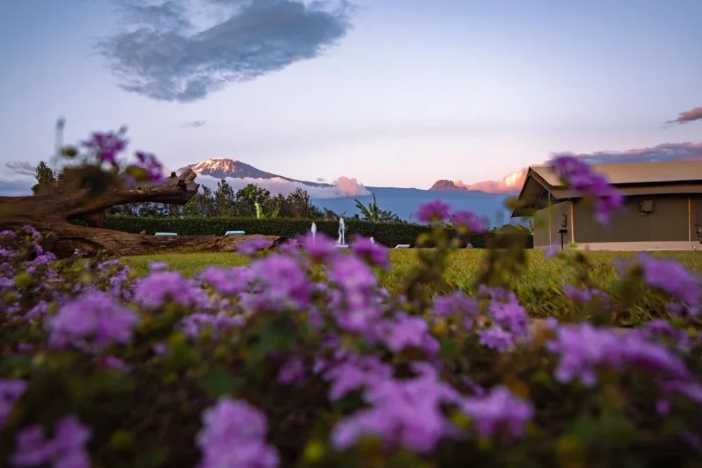 The Kilimanjaro Luxury Camp