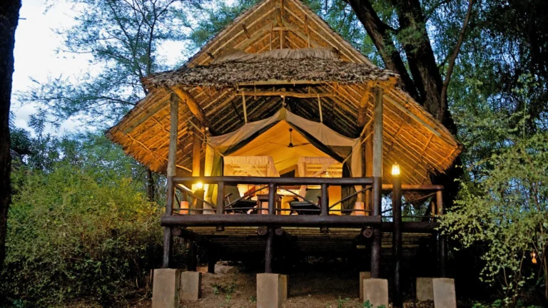 Samburu Intrepids