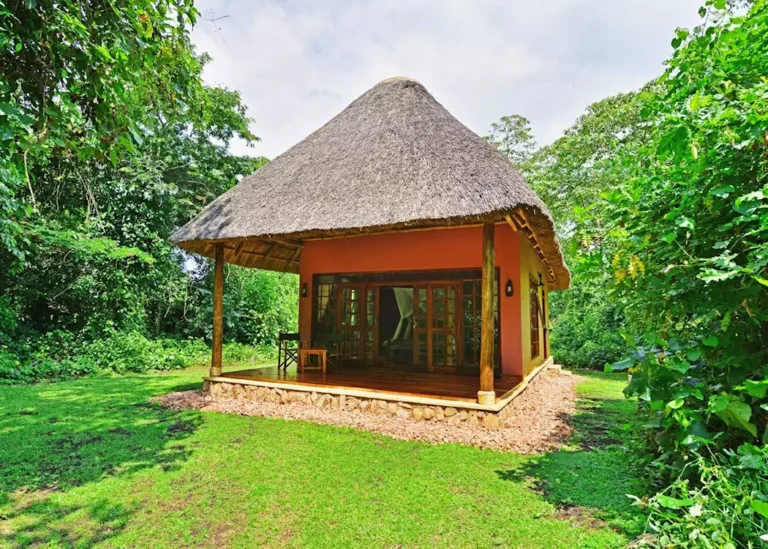 8007430-cottage-at-primate-lodge