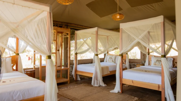 Cheetah-Tented-Camp-15-1