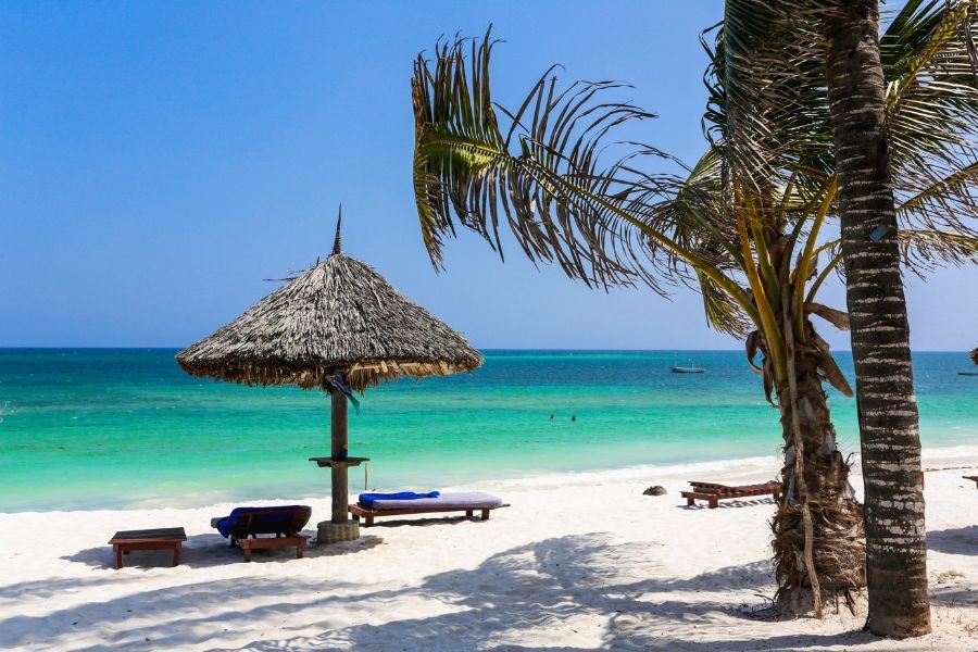 IM_KE_WAT_Sunbeds-and-palm-trees-1