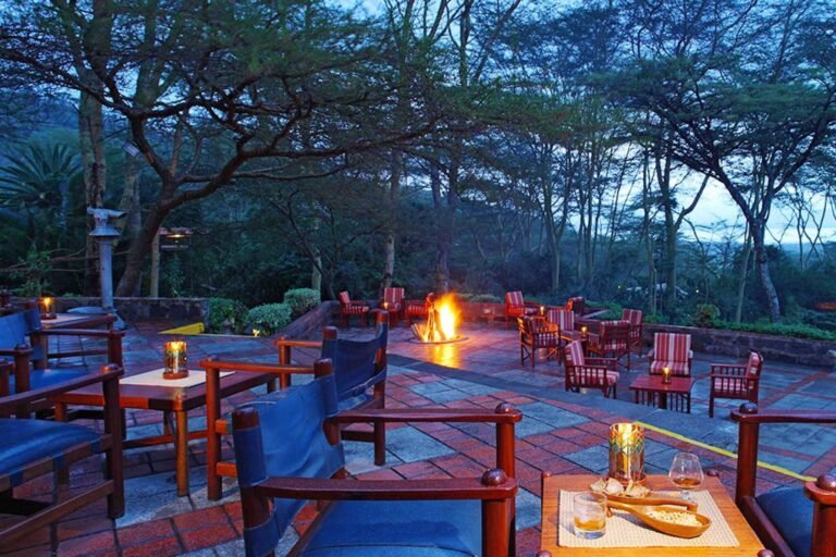 Kenya-Wildlife-Tours_Accommodation_Sarova-Lion-Hill-Game-Lodge_Bar-Terrace-2048x1365
