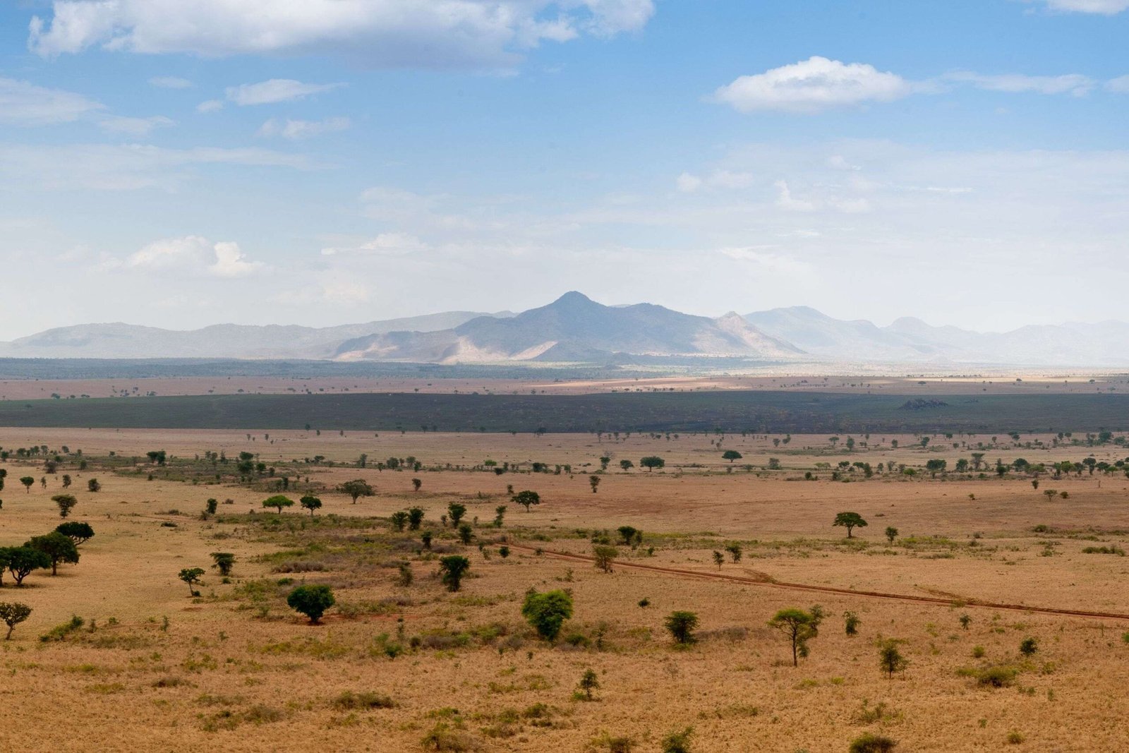 Kidepo-Valley-NP-28229-scaled