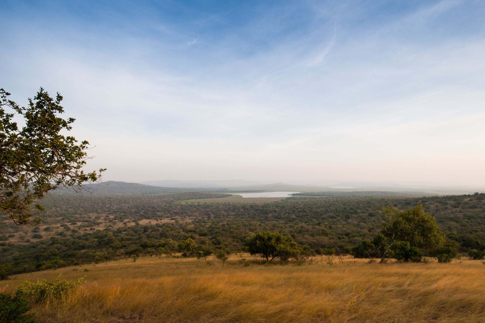 Lake-Mburo-28329-scaled