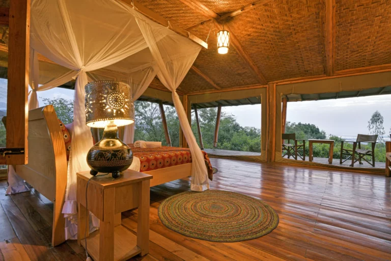 Safari-Tent-Dawn-3-scaled