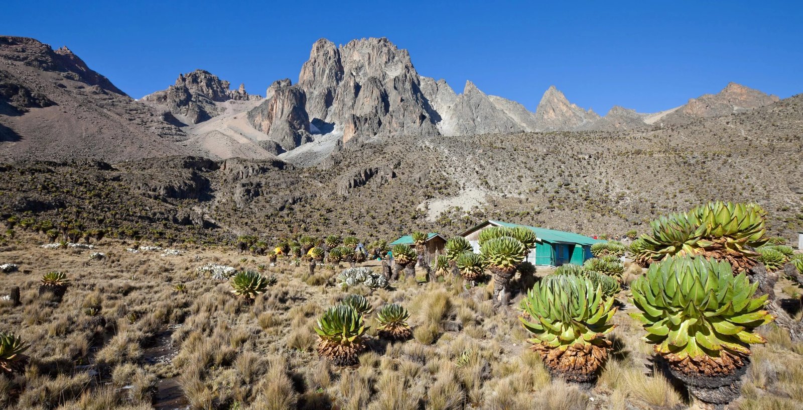 Shipton27s-Camp_Mt-Kenya-Website-pics-scaled