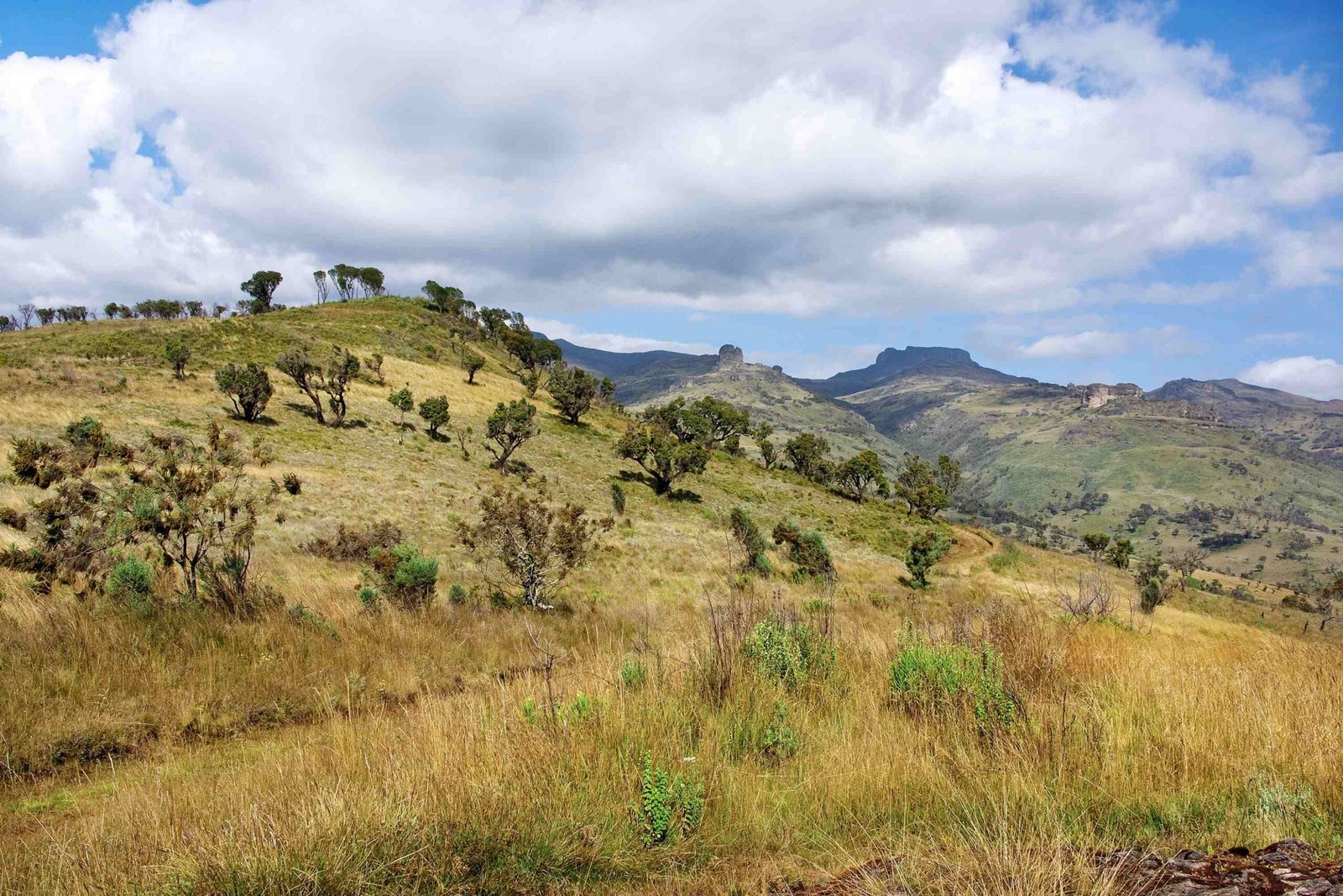 Sipi-Falls-Mount-Elgon-drive-1-scaled