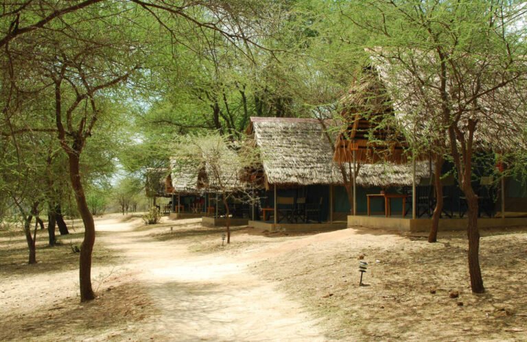 Bamboo Village Safari Lodge