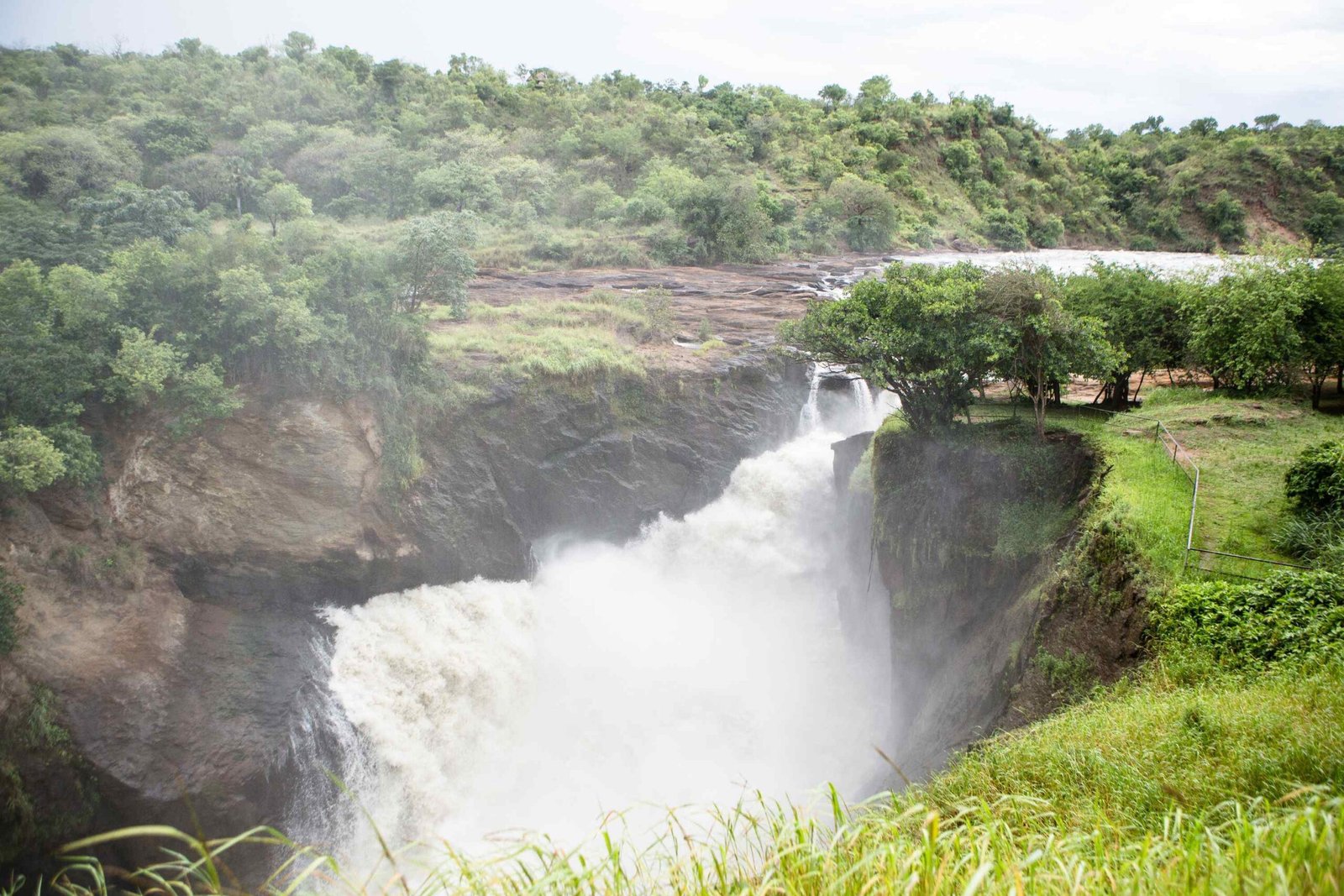 Top-of-the-Falls-Hike-Murchison-28329-scaled
