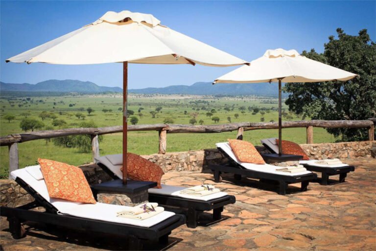 apoka-safari-lodge-kidepo-valley-uganda-pool-beds