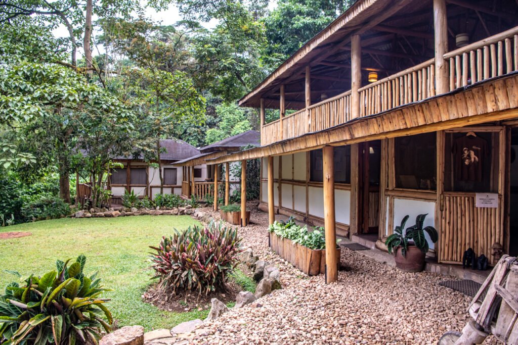 Haven Lodge Buhoma