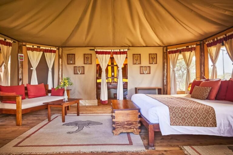 elephantbedroomcamp3