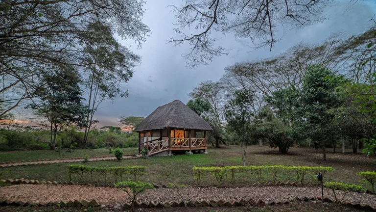 ishasha-jungle-lodge-ujl-0780-scaled