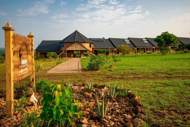 mara-safari-lodge-kidepo
