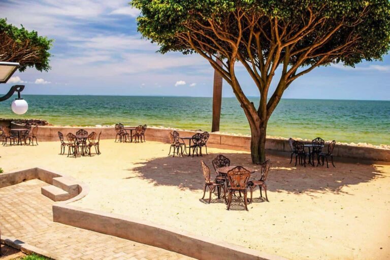 proteahotelbymarriottentebbe4