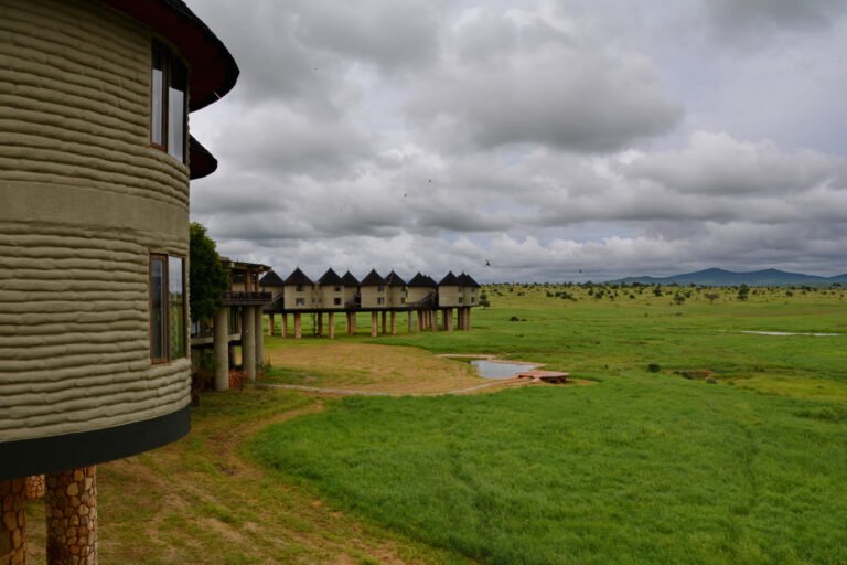 salt_lick_safari_lodge_by_travelie_dm8z0o0-fullview