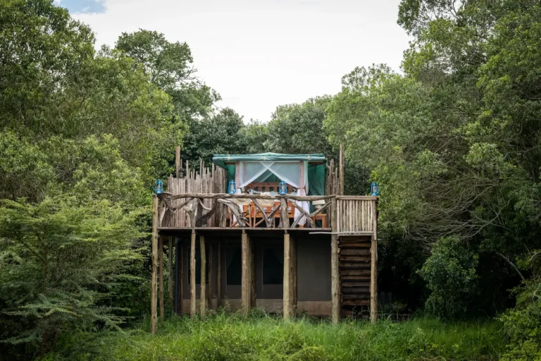 starbed-exterior-treehouse