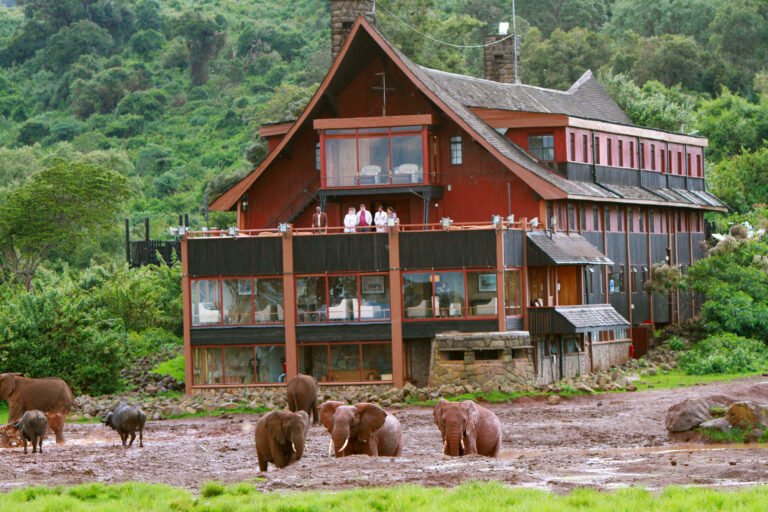 Ark Lodge Kenya