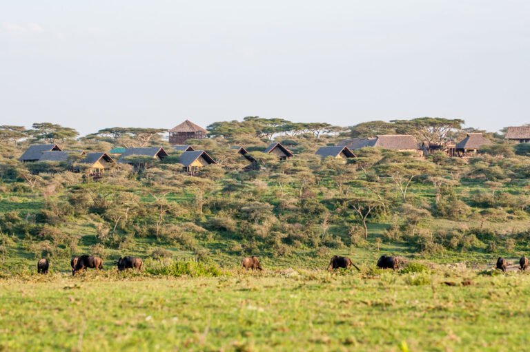 Ndutu_External_032