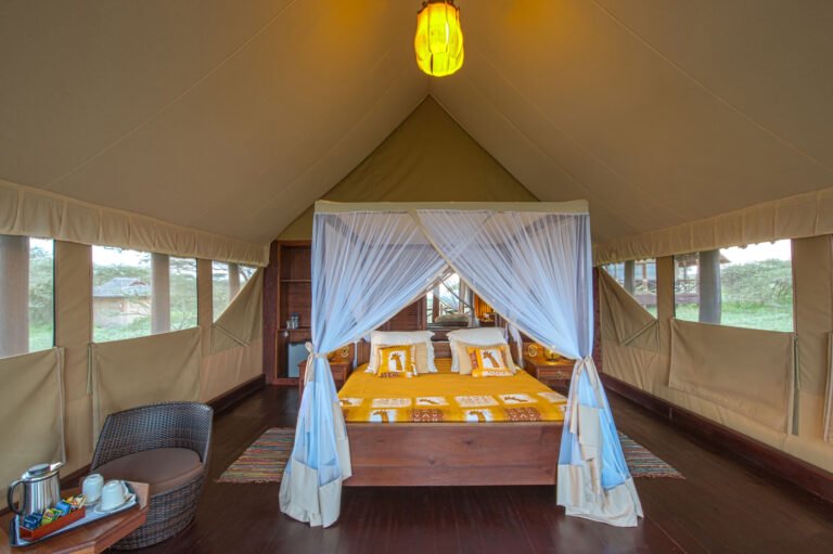 Room_Double_002