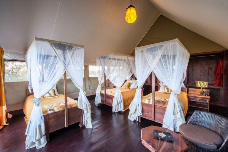 Room_Triple_001